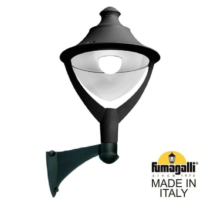 Светильник уличный настенный FUMAGALLI MIDIPILAR/BEPPE P50.254.000.AXH27, черный и Прозрачный